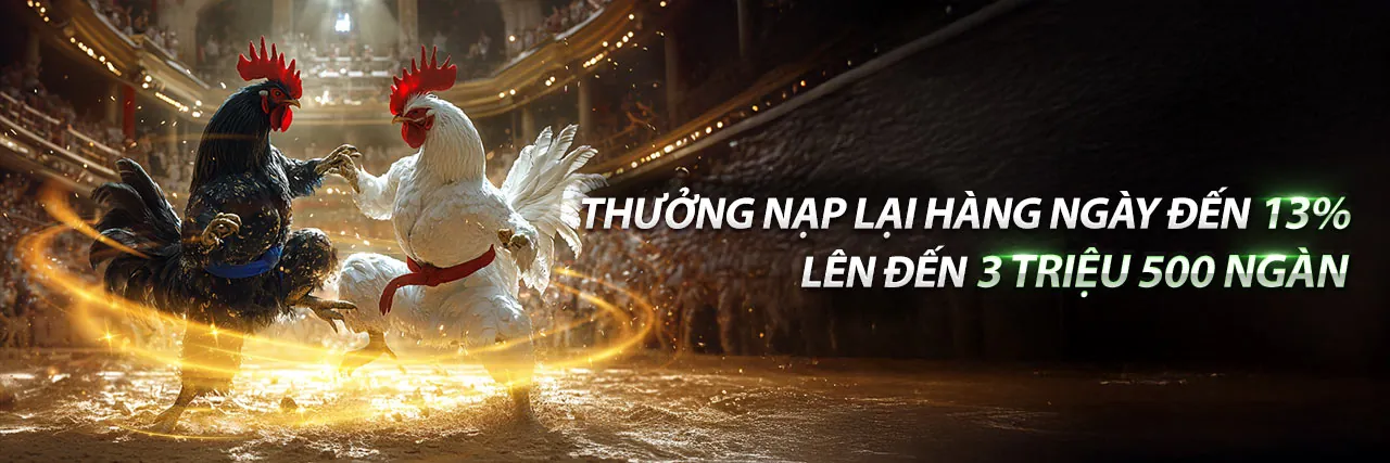 Đá gà trực tuyến 98win62 với trường gà chuyên nghiệp